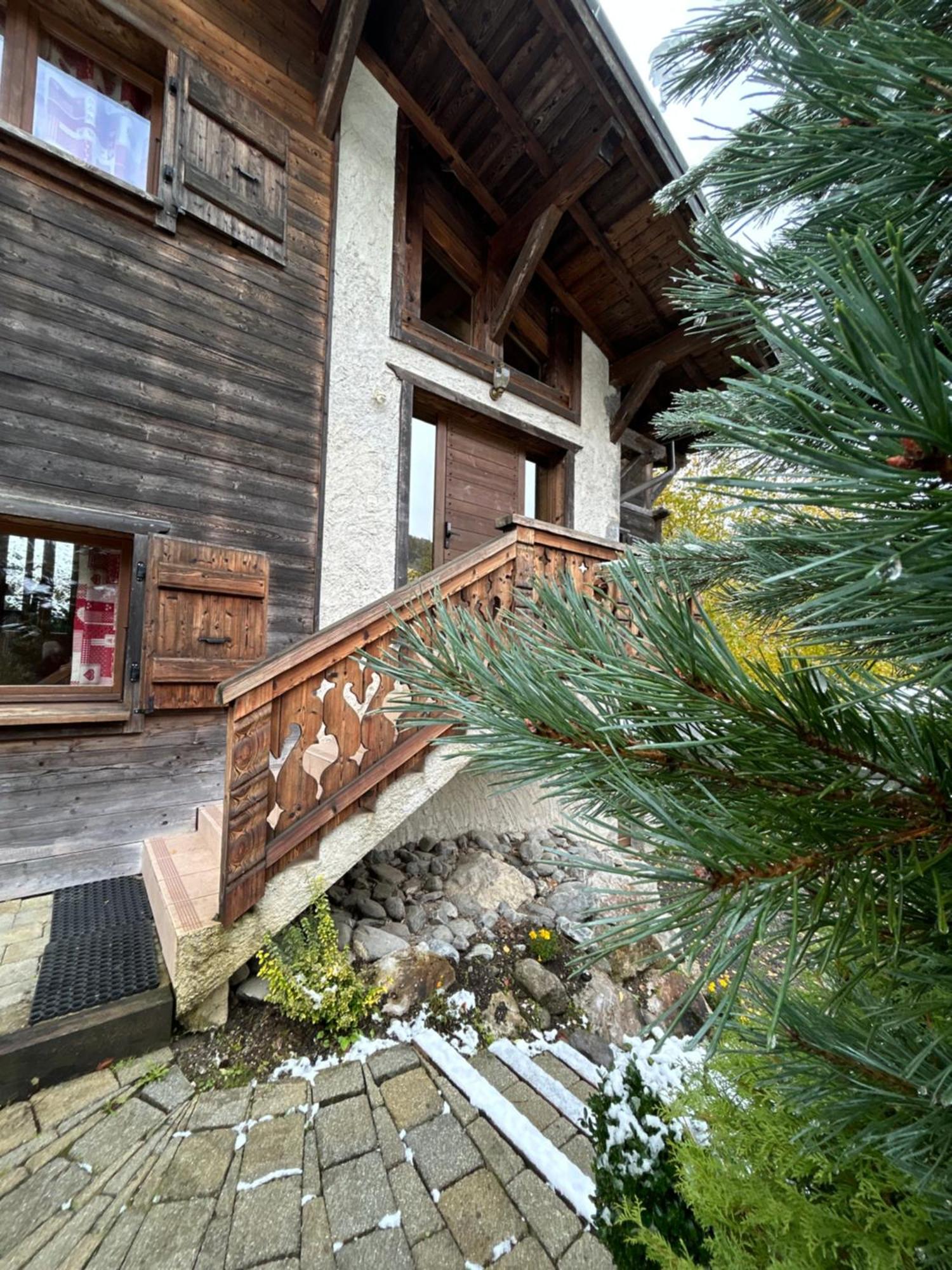 Chalet Adonis - Montriond, Morzine, Avoriaz מראה חיצוני תמונה