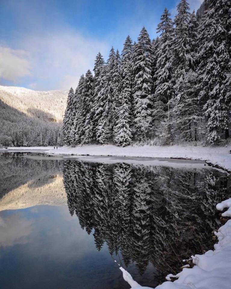 Chalet Adonis - Montriond, Morzine, Avoriaz מראה חיצוני תמונה