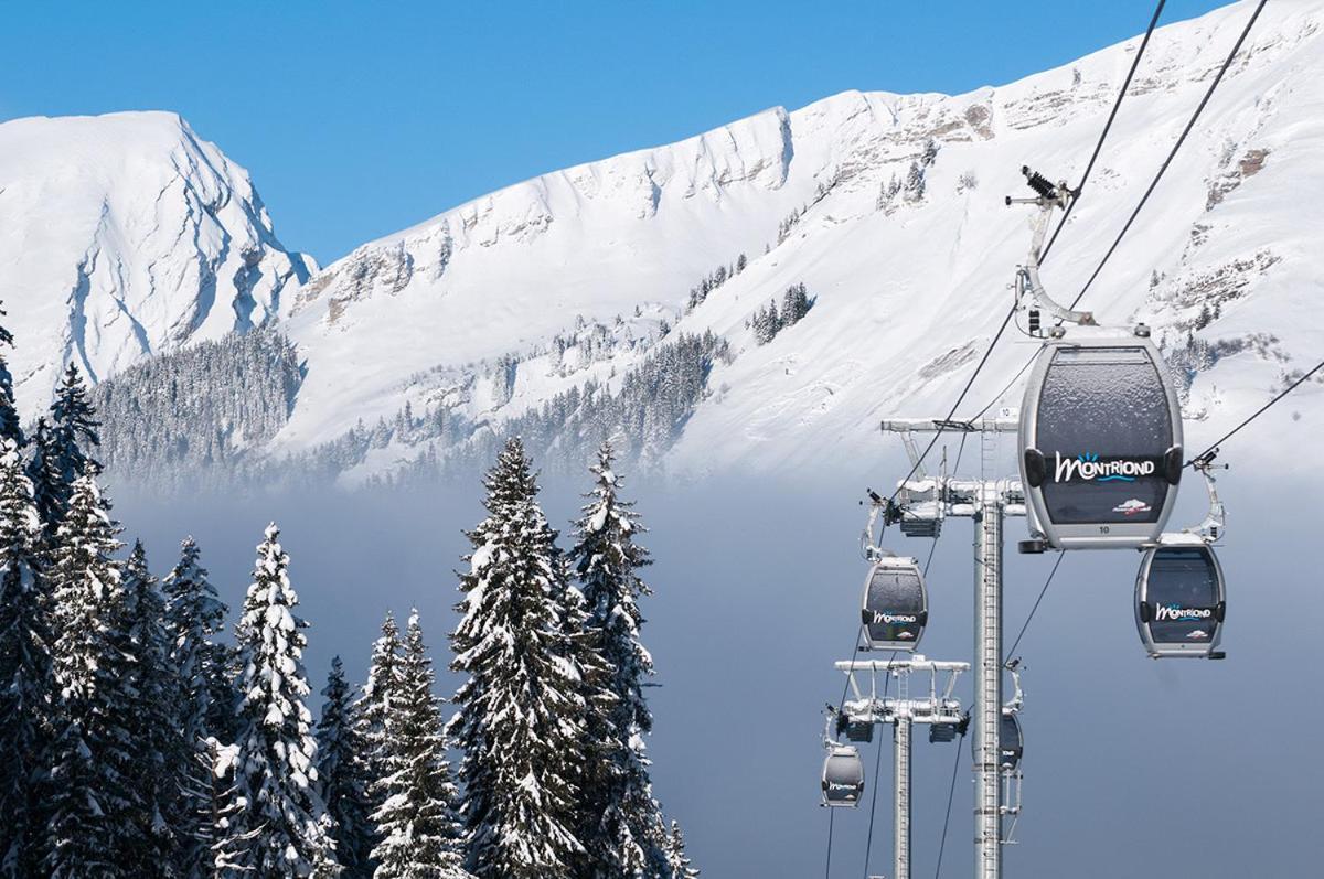 Chalet Adonis - Montriond, Morzine, Avoriaz מראה חיצוני תמונה